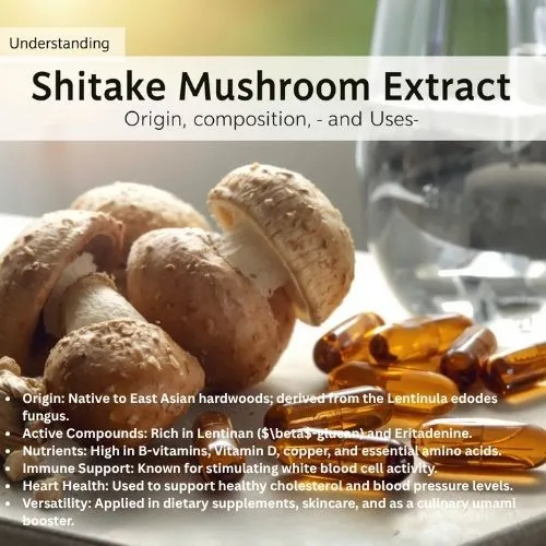 Shiitake Mushroom (2) Shiitake Mushroom (2)