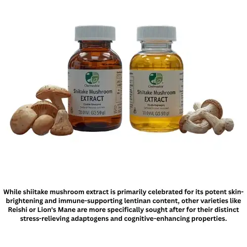 Shiitake Mushroom extracts