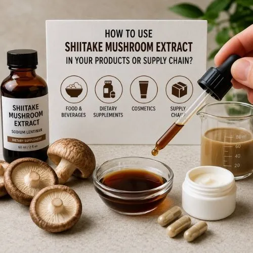 How to Use Shiitake Mushroom Extract in Your Products or Supply Chain