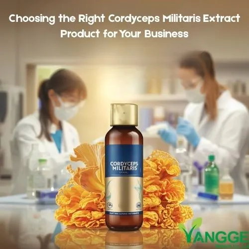 Choosing the Right Cordyceps Militaris Extract Product for Your Business Choosing the Right Cordyceps Militaris Extract Product for Your Business