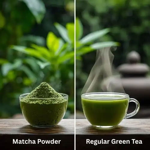 Understanding Matcha Powder and Regular Green Tea