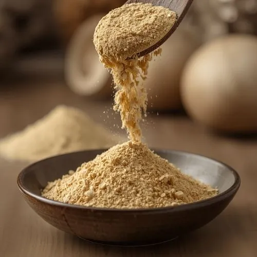 Shiitake Mushroom.jpg Shiitake Mushroom.jpg