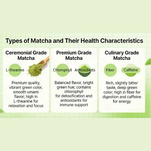 Types of Matcha and Their Health Characteristics Types of Matcha and Their Health Characteristics