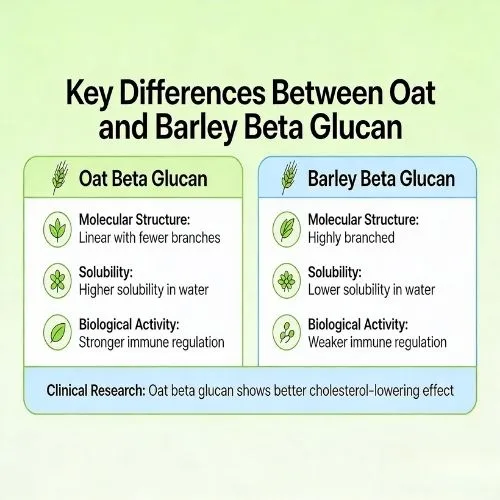 Beta glucan powder key difference Beta glucan powder key difference