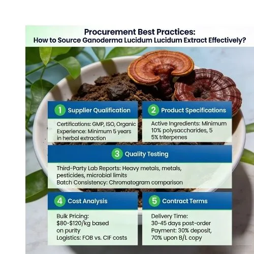 Procurement Best Practices How to Source Ganoderma Lucidum Extract Effectively