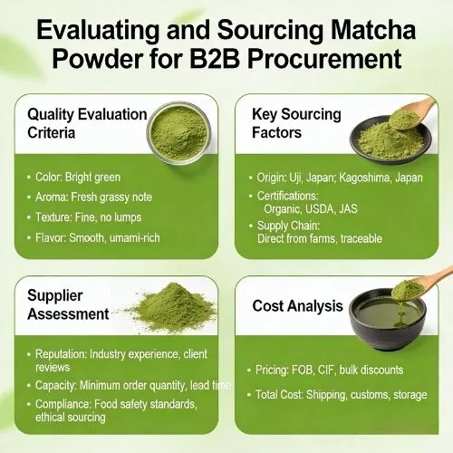 Evaluating and Sourcing Matcha Powder for B2B Procurement Evaluating and Sourcing Matcha Powder for B2B Procurement