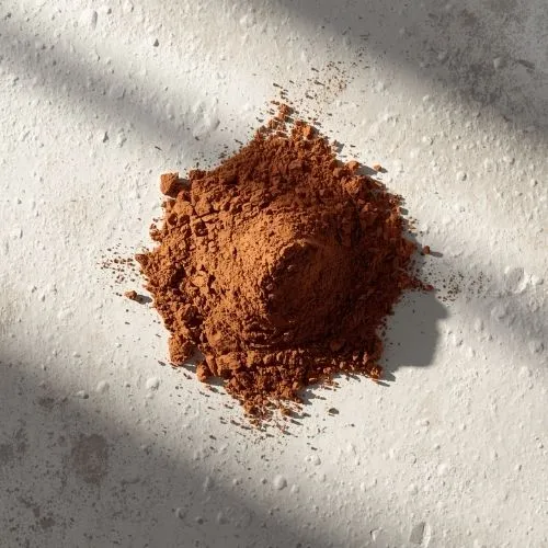 chaga extract powder