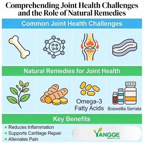 Comprehending Joint Health Challenges and the Role of Natural Remedies