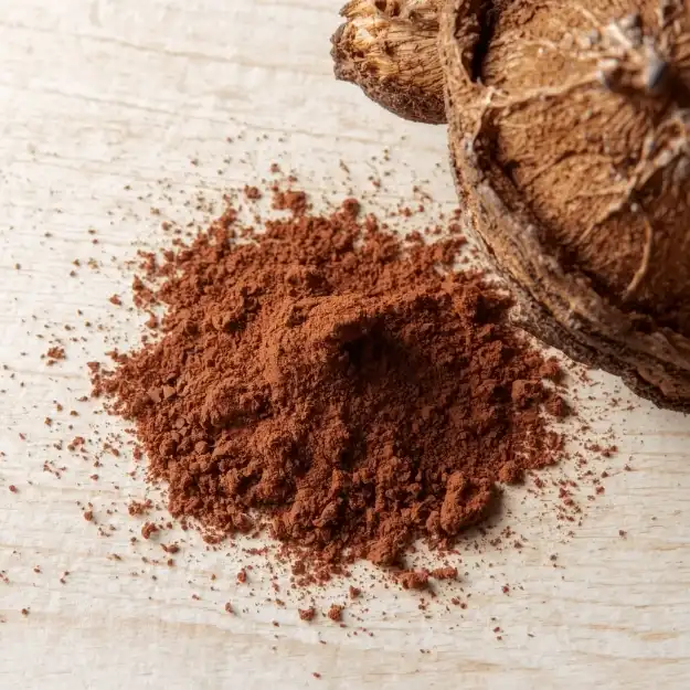 chaga extract powder (1).jpg chaga extract powder (1).jpg