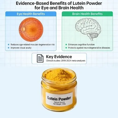 Evidence-Based Benefits of Lutein for Eye and Brain Health
