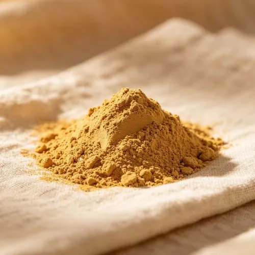 ganoderma powder
