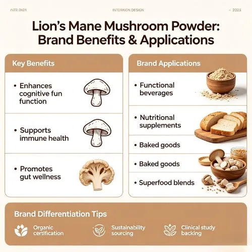 Lion's Mane Mushroom Powder Benefits and Applications for Brands