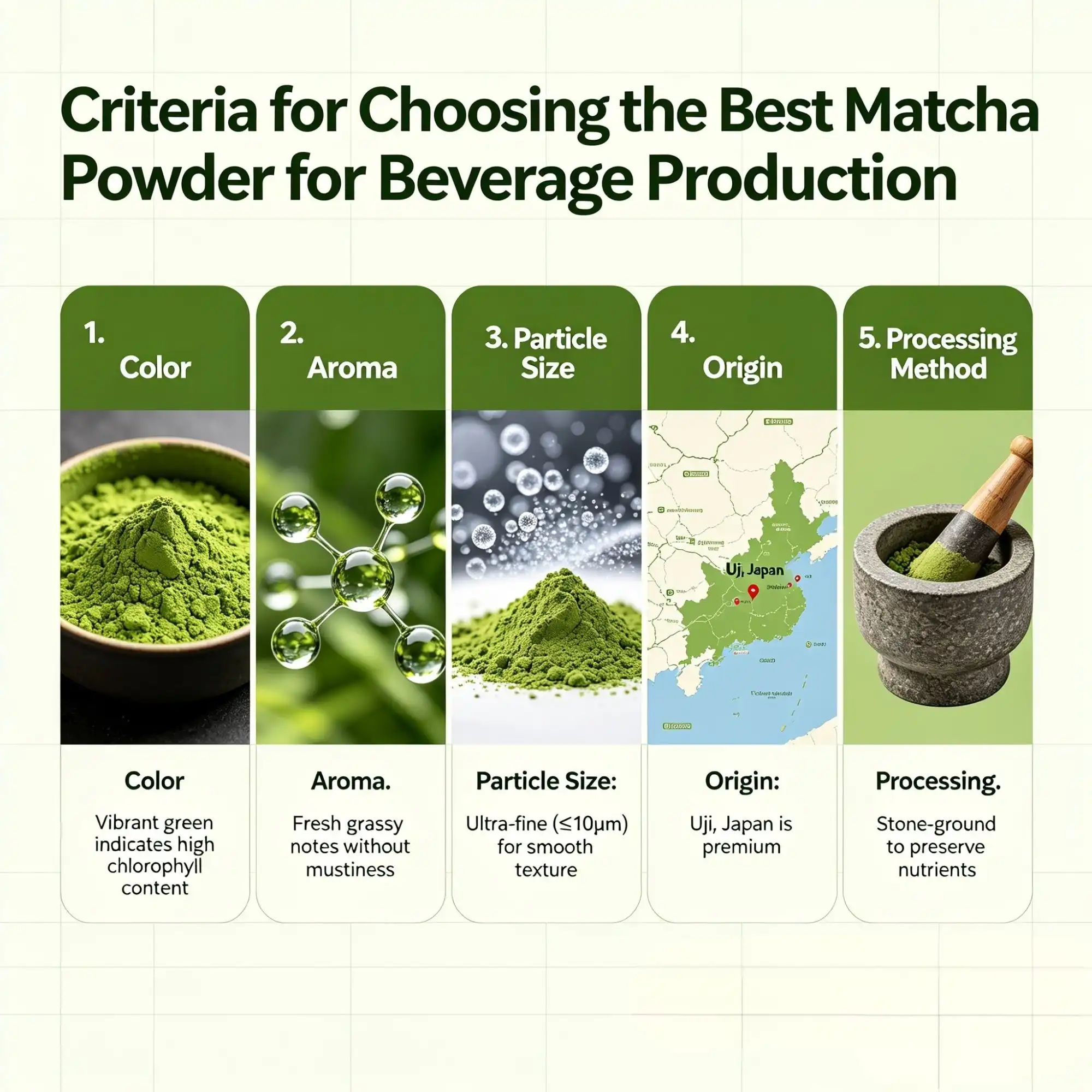 Criteria for Choosing the Best Matcha Powder for Beverage Production Criteria for Choosing the Best Matcha Powder for Beverage Production