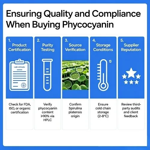 Ensuring Quality and Compliance When Buying Phycocyanin
