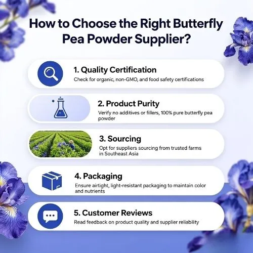 How to Choose the Right Butterfly Pea Powder Supplier (1)