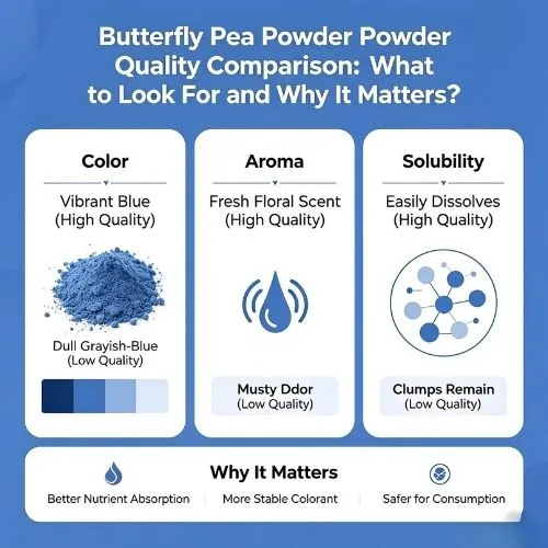 Butterfly Pea Powder Quality Comparison What to Look For and Why It Matters