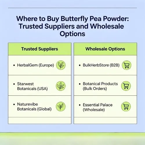 Where to Buy Butterfly Pea Powder Trusted Suppliers and Wholesale Options