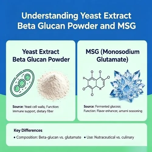 Understanding Yeast Extract Beta Glucan Powder and MSG