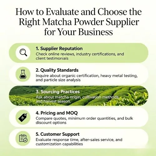 How to Evaluate and Choose the Right Matcha Powder Supplier for Your Business How to Evaluate and Choose the Right Matcha Powder Supplier for Your Business