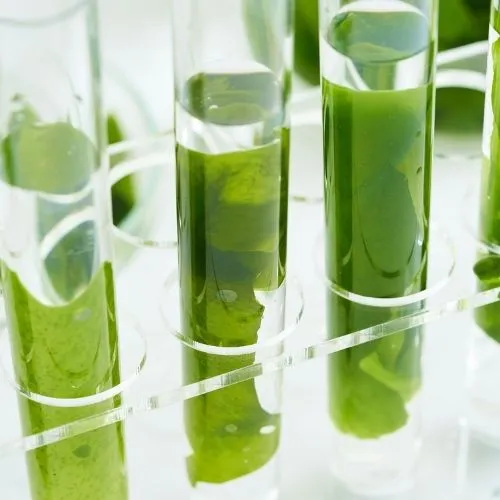 Key Procurement Considerations for Quality Assurance