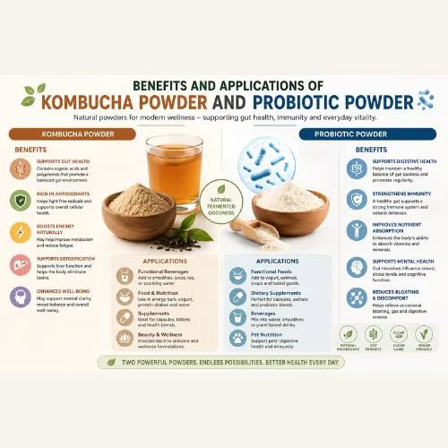 Benefits and Applications of Kombucha Powder and Probiotic Powder Benefits and Applications of Kombucha Powder and Probiotic Powder