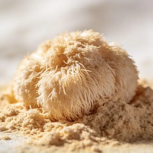 lions mane powder (2)