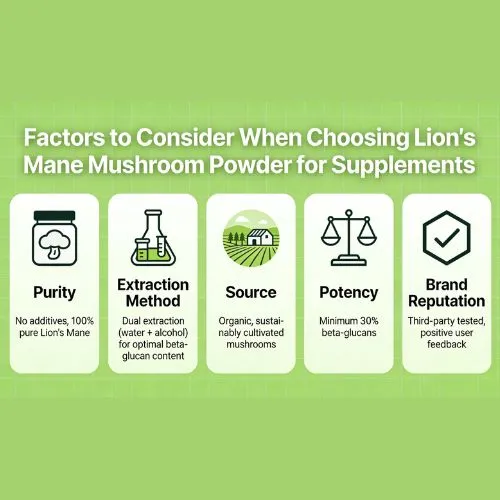 lions mane powder factors