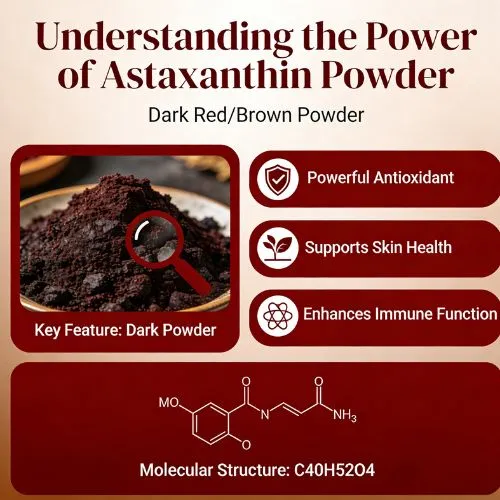 Understanding the Power of Astaxanthin Powder