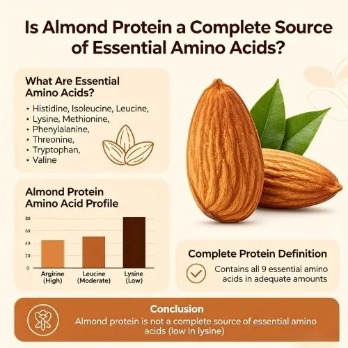 almond powder complete