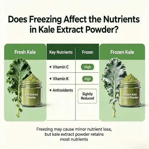 kale extract affect kale extract affect