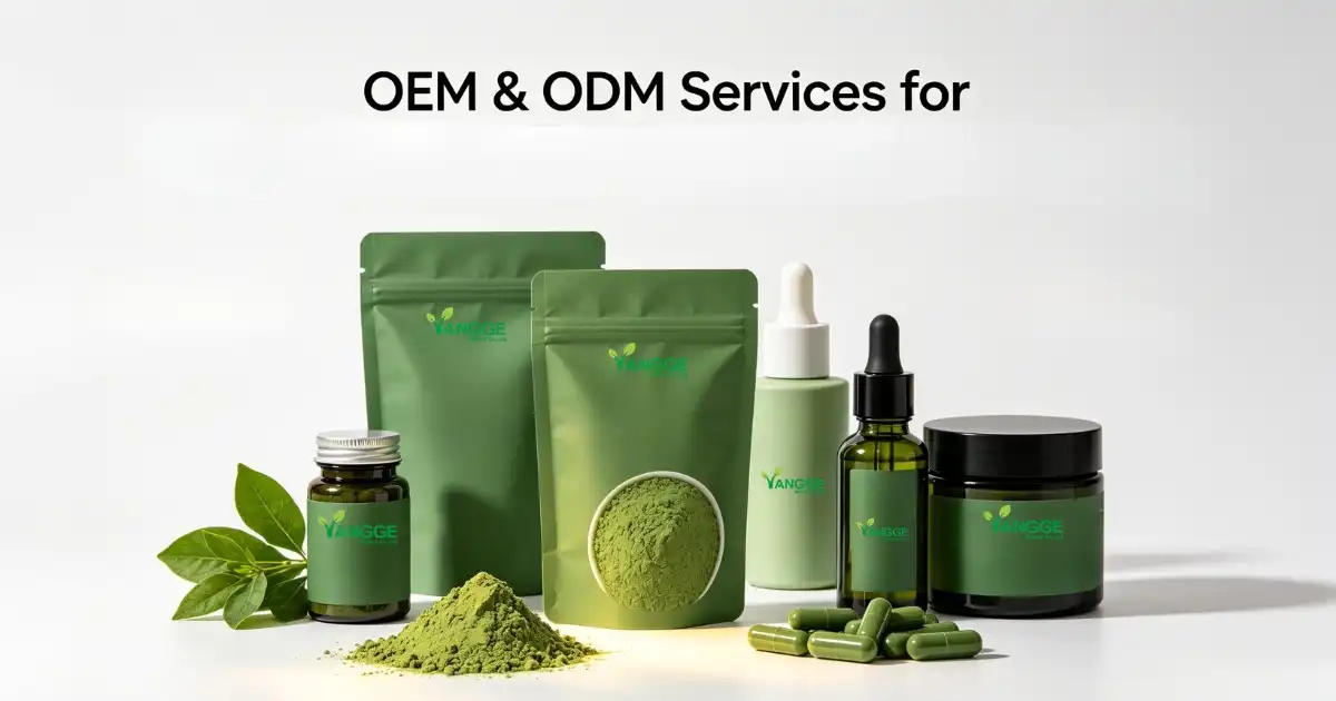 OEM chlorophyl (1)