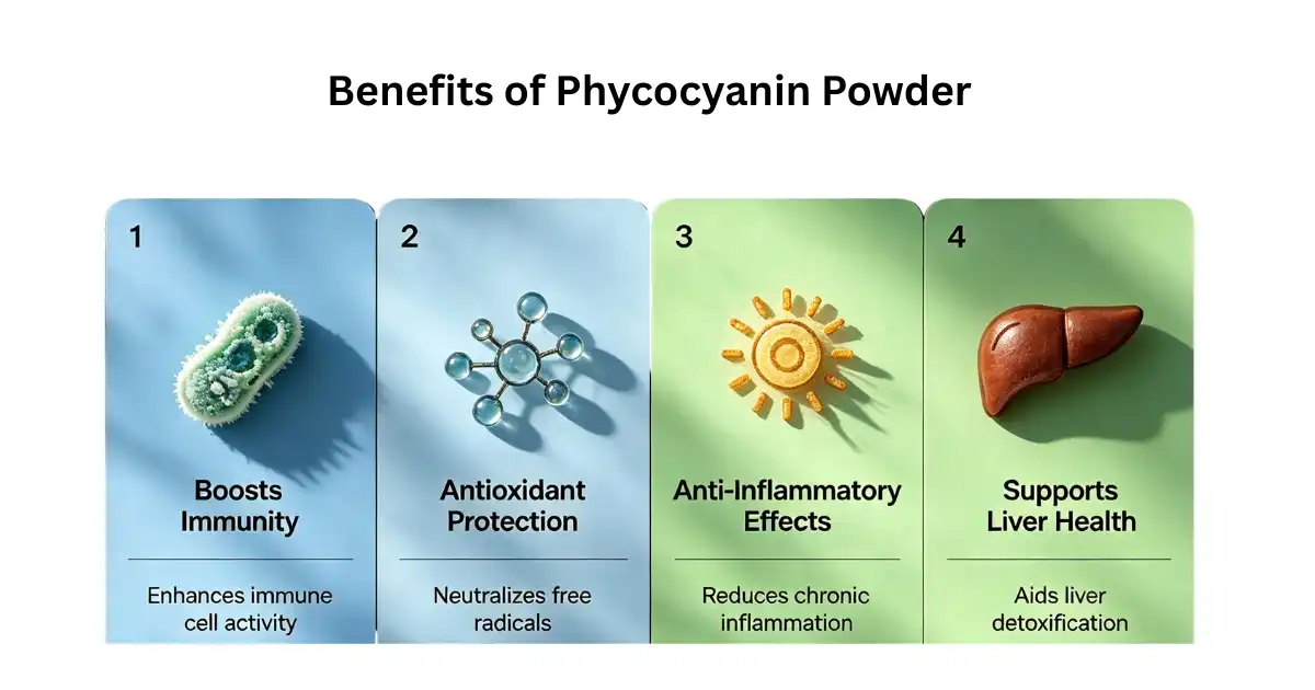 Benefits of Phycocyanin Powder