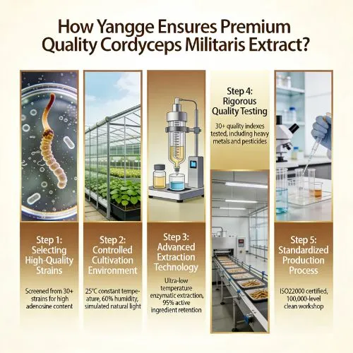 cordyceps powder quality