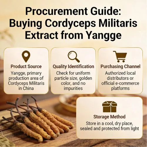 Procurement Guide Buying Cordyceps Militaris Extract from Yangge Procurement Guide Buying Cordyceps Militaris Extract from Yangge