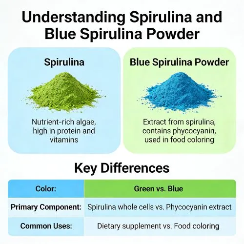 Understanding Spirulina and Blue Spirulina Powder Understanding Spirulina and Blue Spirulina Powder