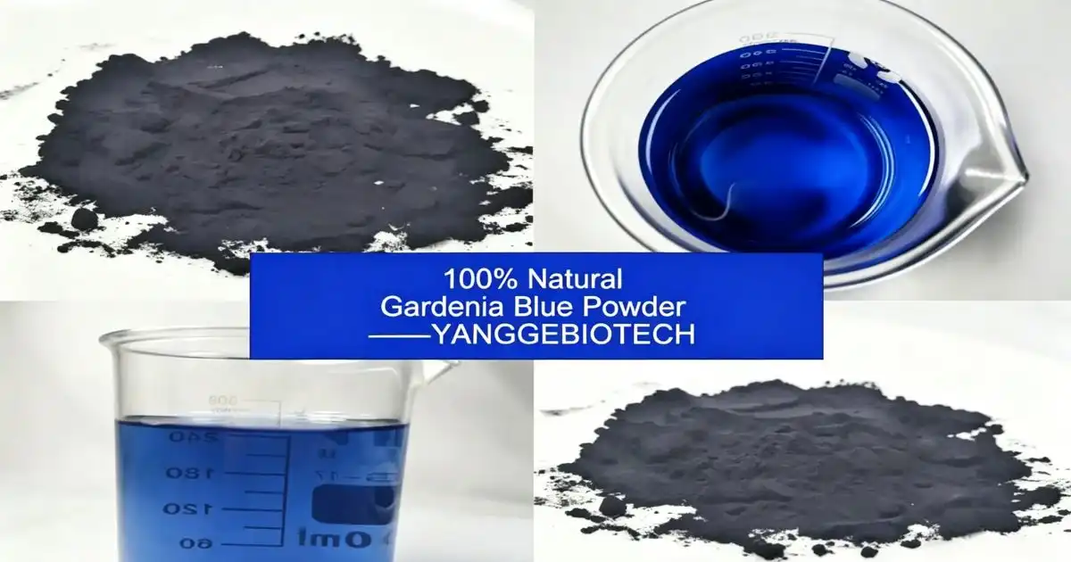 gardenia blue powder (2)