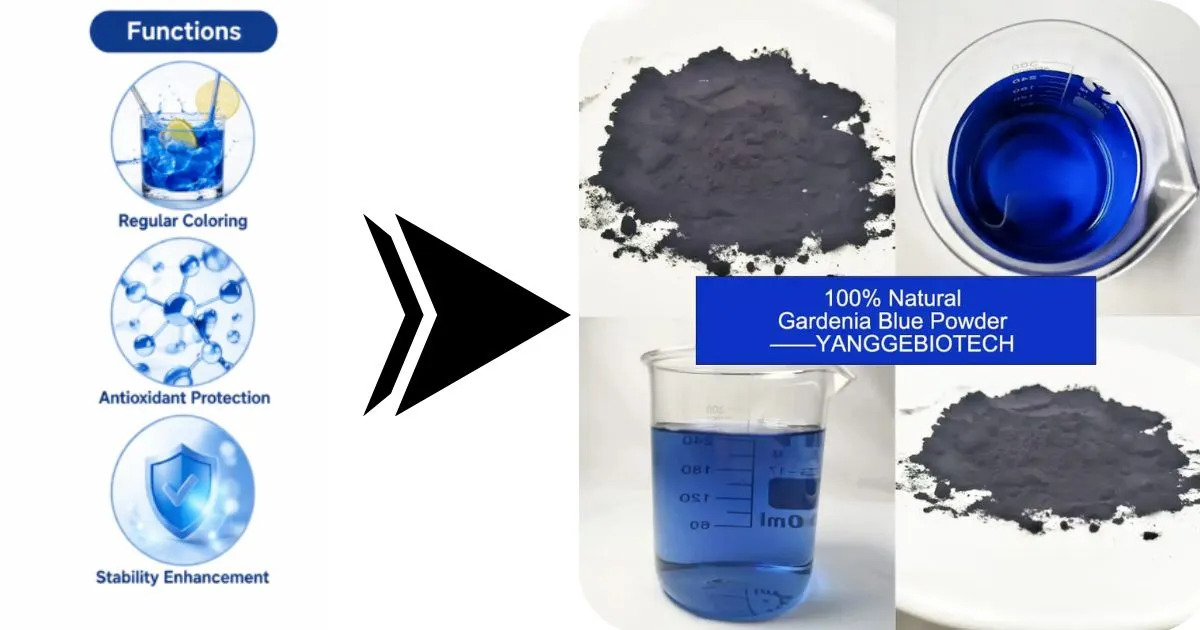 gardenia blue powder main functions gardenia blue powder main functions