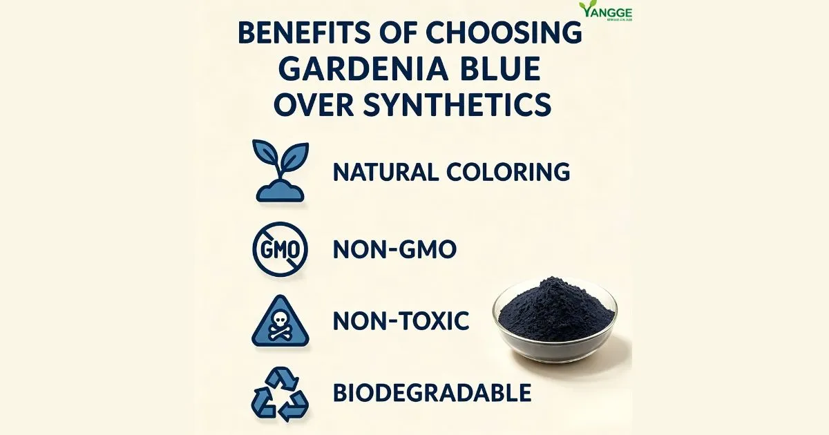 gardenia blue powder benefits gardenia blue powder benefits