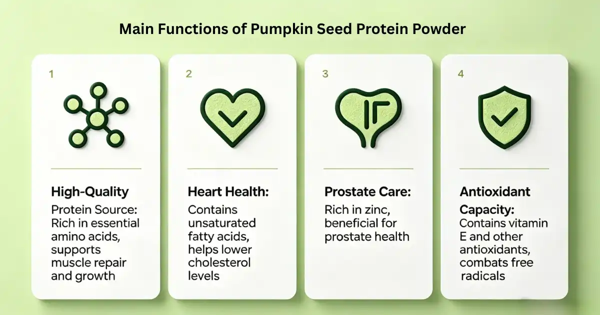 Main Functions of Pumpkin Seed Protein Powder