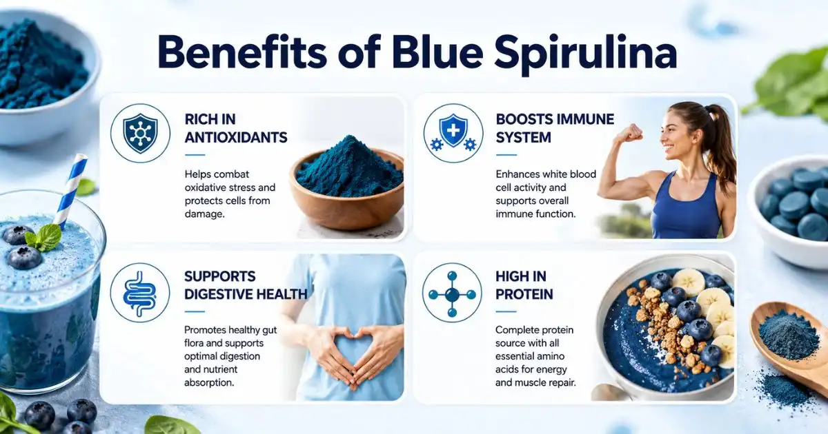 blue spirulina benefits (1) blue spirulina benefits (1)