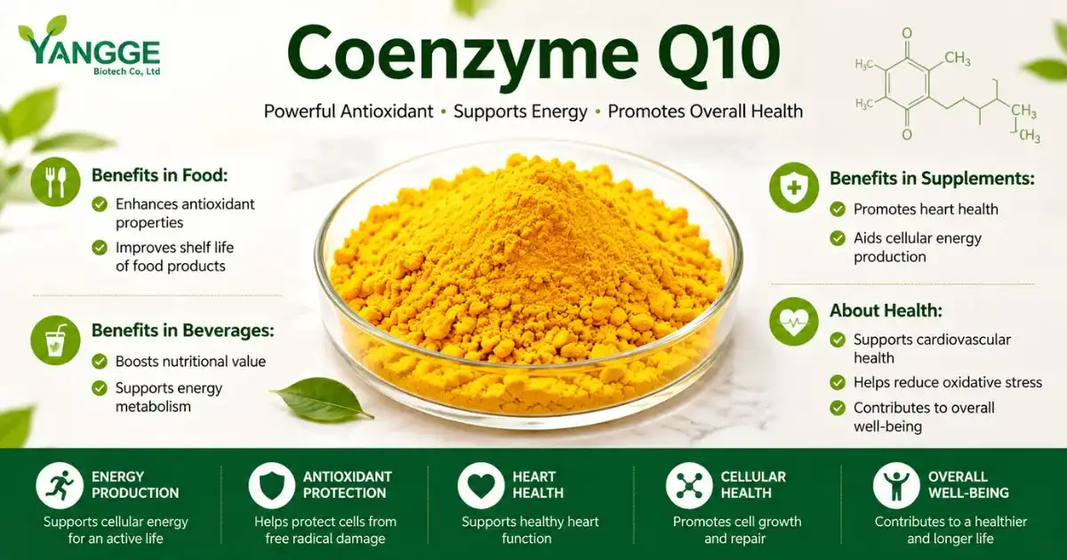 coenzyme benefits