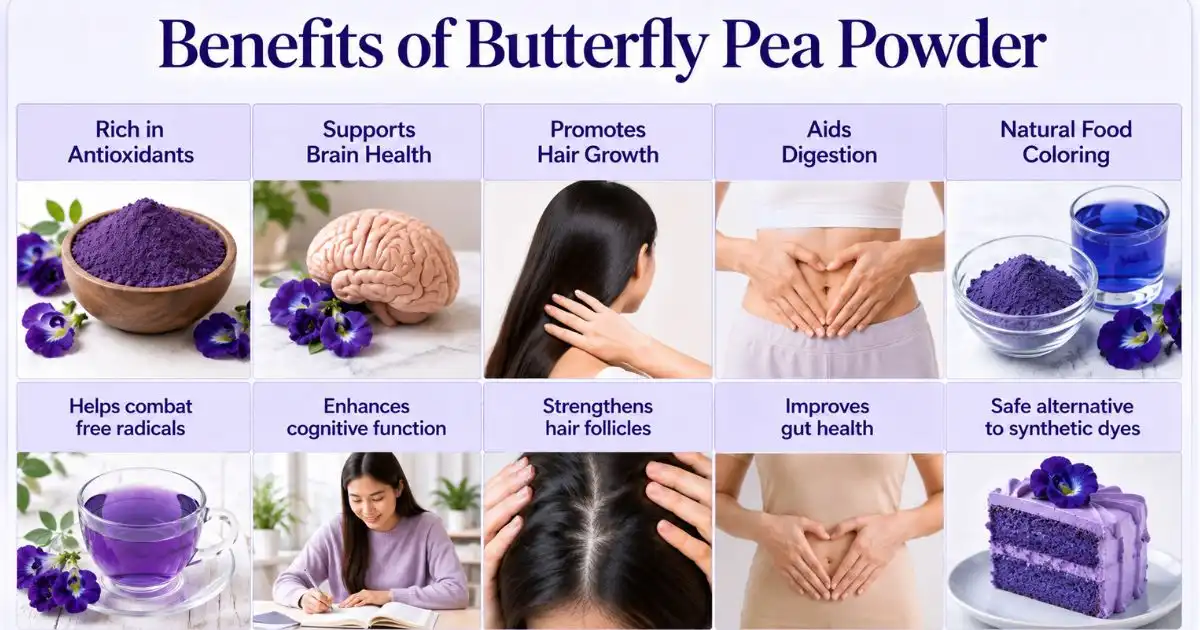 benefits of butterfly pea powder