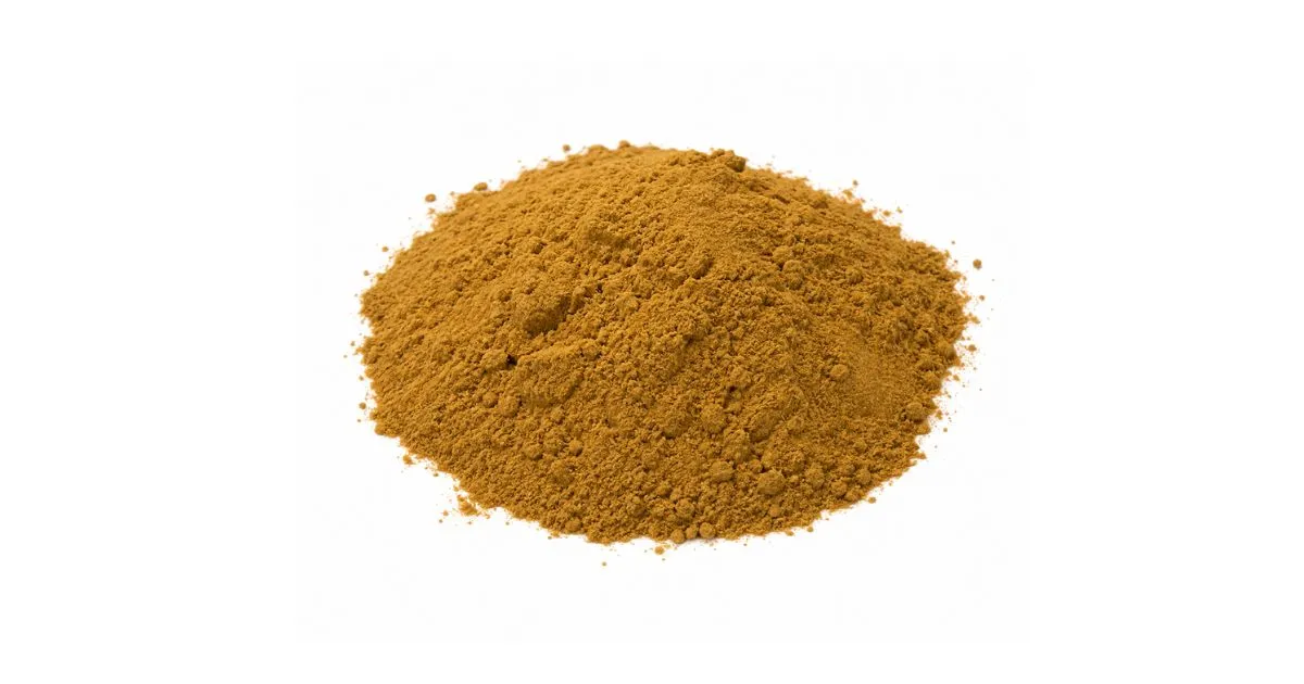 ganoderma