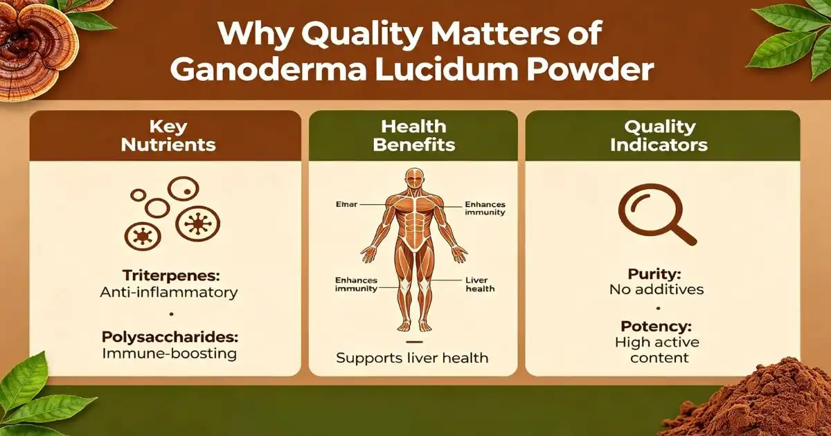 why quaLITY ganoderma