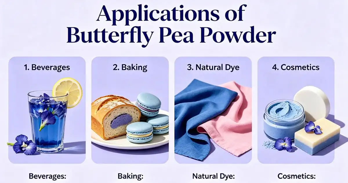 applications applications