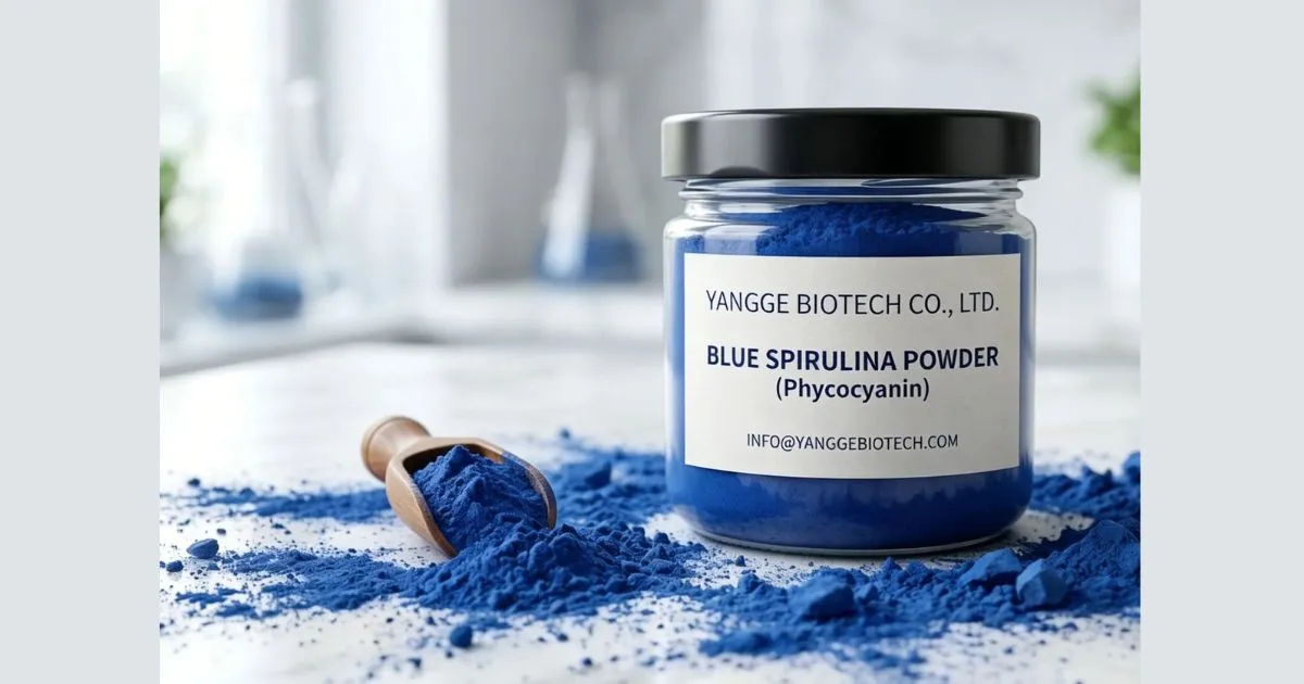 blue spirulina powder (2)