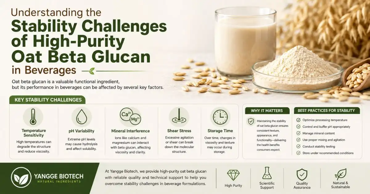 High-Purity Oat Beta Glucan in Beverages