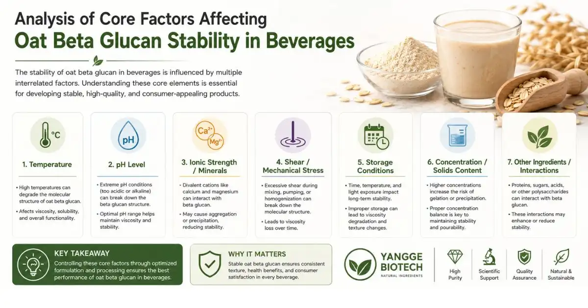 Analysis of Core Factors Affecting Oat Beta Glucan Stability in Beverages