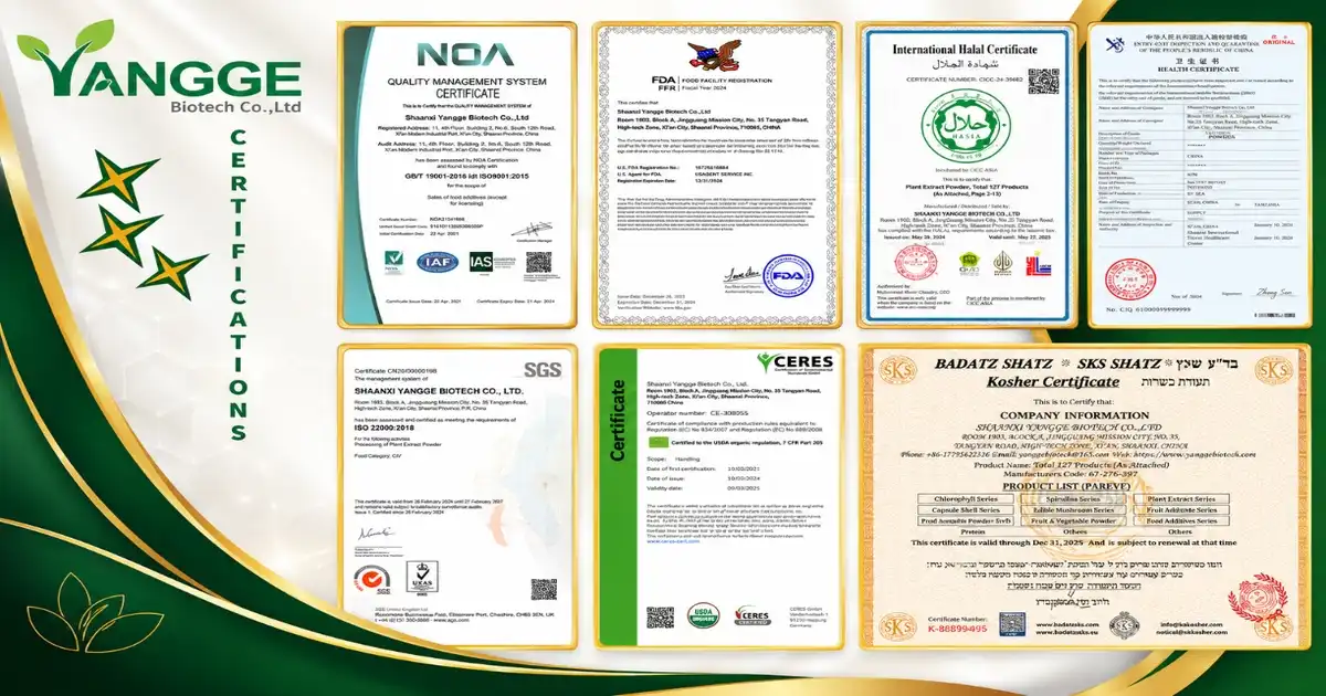 certificate new2 certificate new2