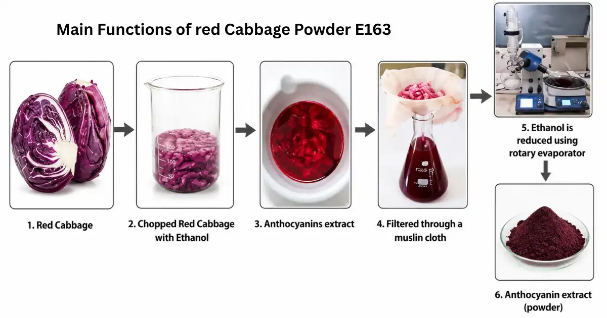 red cabbage powder main functions
